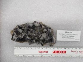 FLUORITE with Siderite