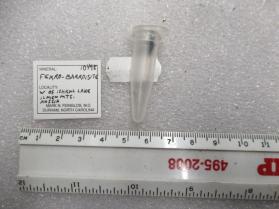Ferro-barroisite