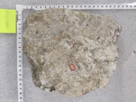Pegmatitic granite
