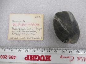 Kaolinite