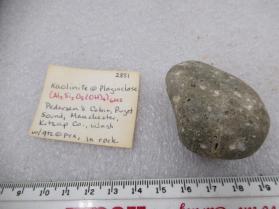 Kaolinite @ Plagioclase