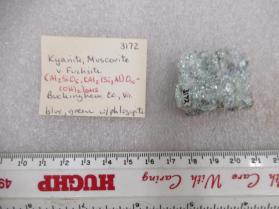 Kyanite, Muscovite v. Fuchsite