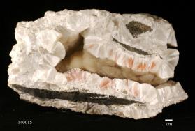 Pectolite