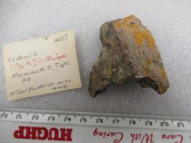 Ecdemite