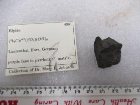 Elyite