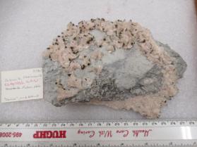 Dolomite, Chalcopyrite ("Chorus")