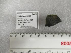 Sherwoodite