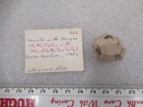 Leucite with Hauyne