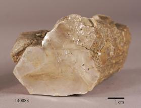 Phlogopite