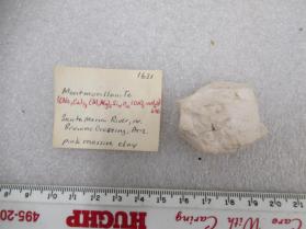 Montmorillonite