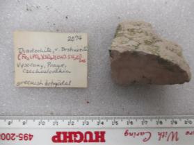 Magnetite, Ripidolite v. Prochlorite