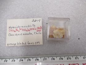 Metasideronatrite