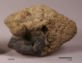 SPINEL