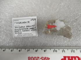 Tatarinovite