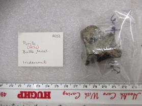 Pyrite (Iridescent)