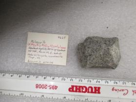 Phlogopite