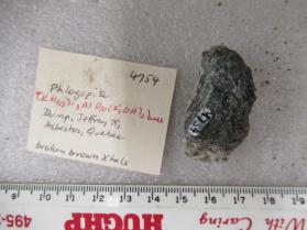 Phlogopite