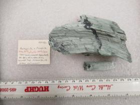 Antigorite v. Picrolite