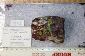 Bayldonite with Mottramite