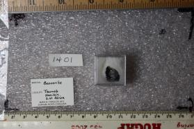 Beaverite