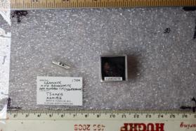 Carminite with Beudantite