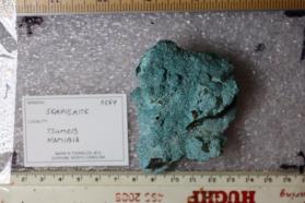Serpierite