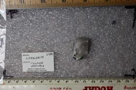 Sphalerite