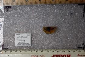 Maikainite