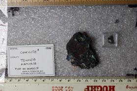 Covellite (2 pieces)