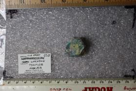 Unknown #6018 Blue-Green