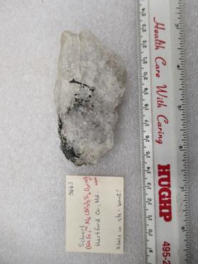 Schorl