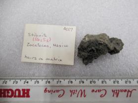 Shibnite
