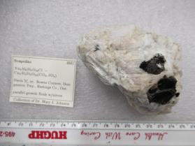 Scapolite
