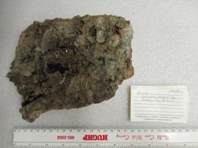 Chlorapatite