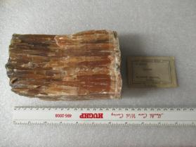 Gypsum