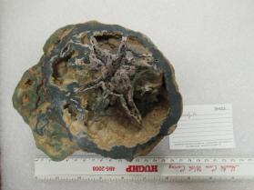 Rockbridgeite