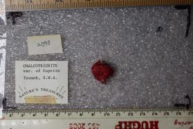 Chalcotrichite