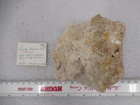Quartz Fracture Cast