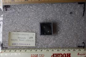 Fleischerite