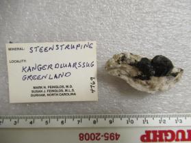 Steenstrupine