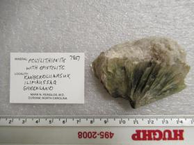 Polylithionite with Epistolite