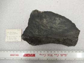 Shattercone (Quartzite)