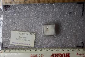 Leiteite