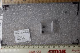 Mawsonite (Ge-Rich)