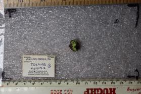 Phillipsbornite (2 pieces)