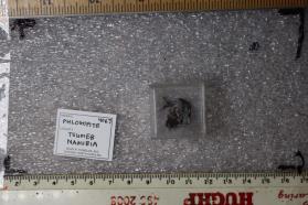 Phlogopite