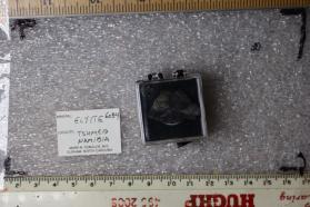 Elyite