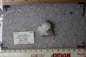 Calcite with Dolomite