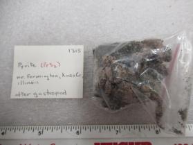 Pyrite