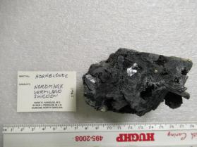 Hornblende